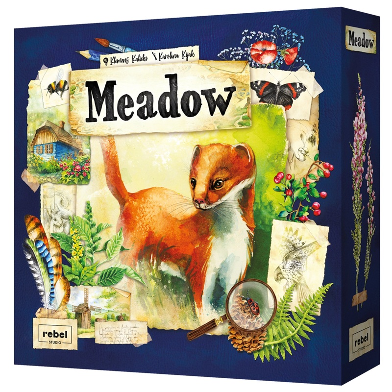 Meadow Board Game | Nature Observing Drafting and Set Collection Game