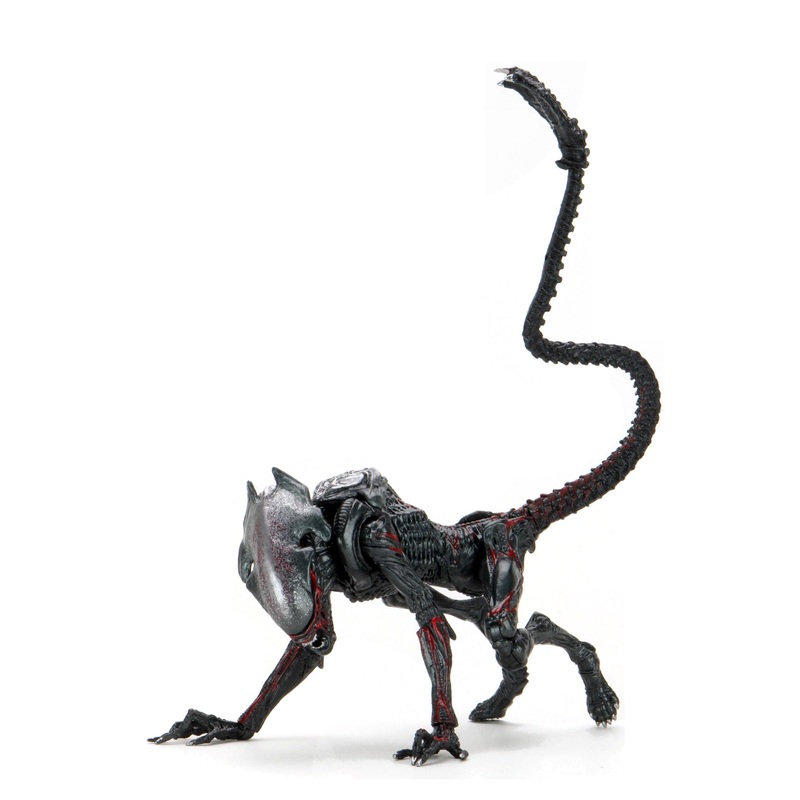 Aliens - 7 Scale Action Figure - Kenner Tribute Ultimate Night Cougar Alien