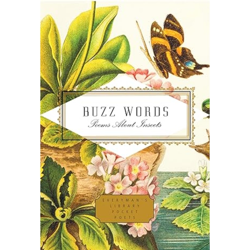 BUZZ WORDS POEMS ABOUT INSECTS EDITED BY HAROLD SCHECHTER