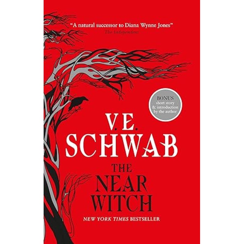THE NEAR WITCH BY V.E.  SCHWAB