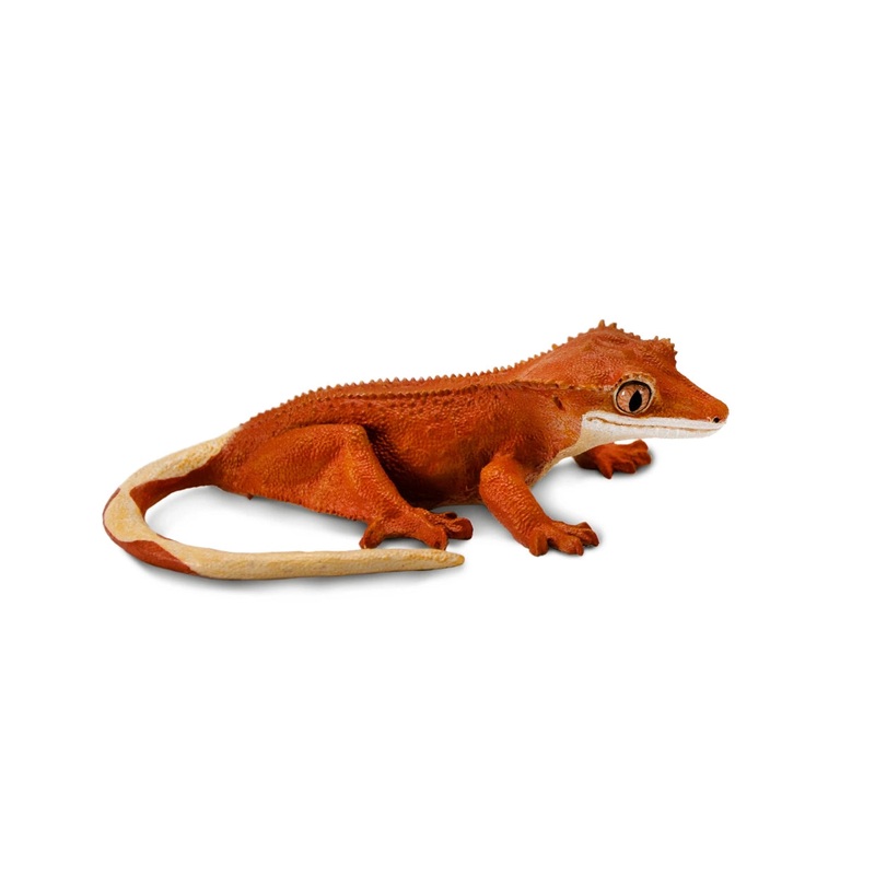 CRESTED GECKO