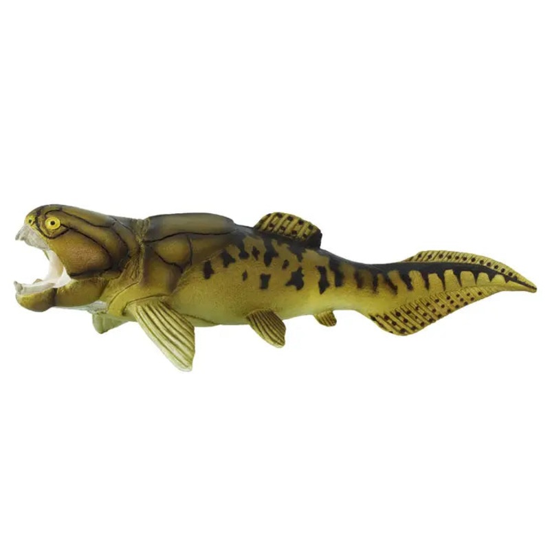 DUNKLEOSTEUS