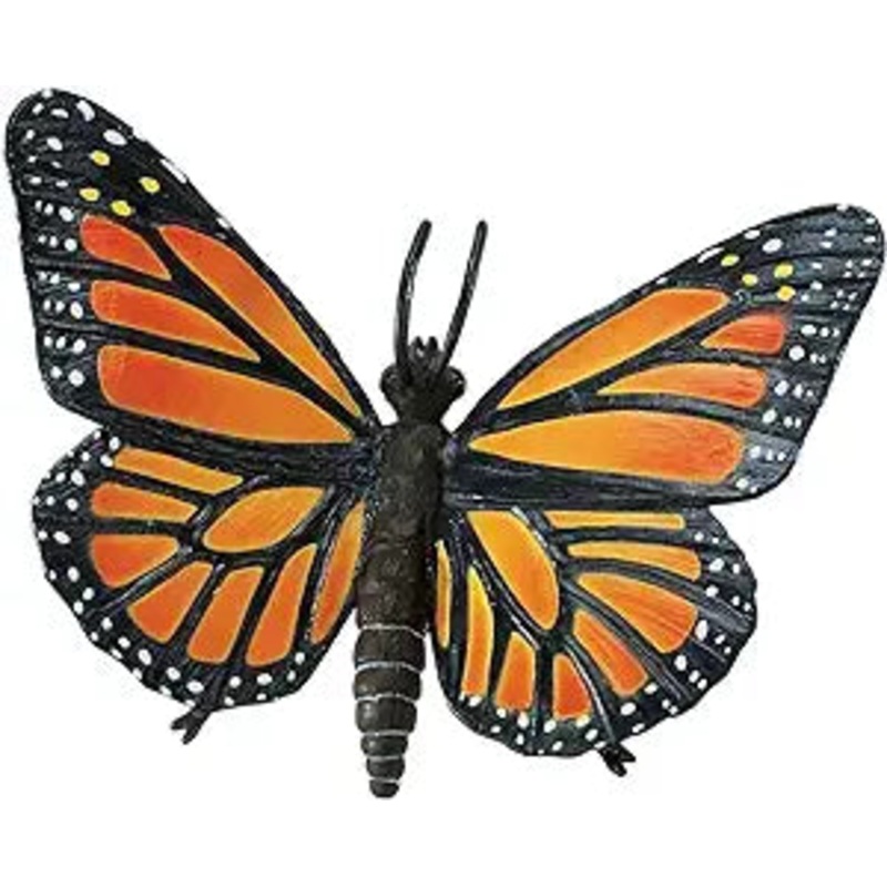 MONARCH BUTTERFLY