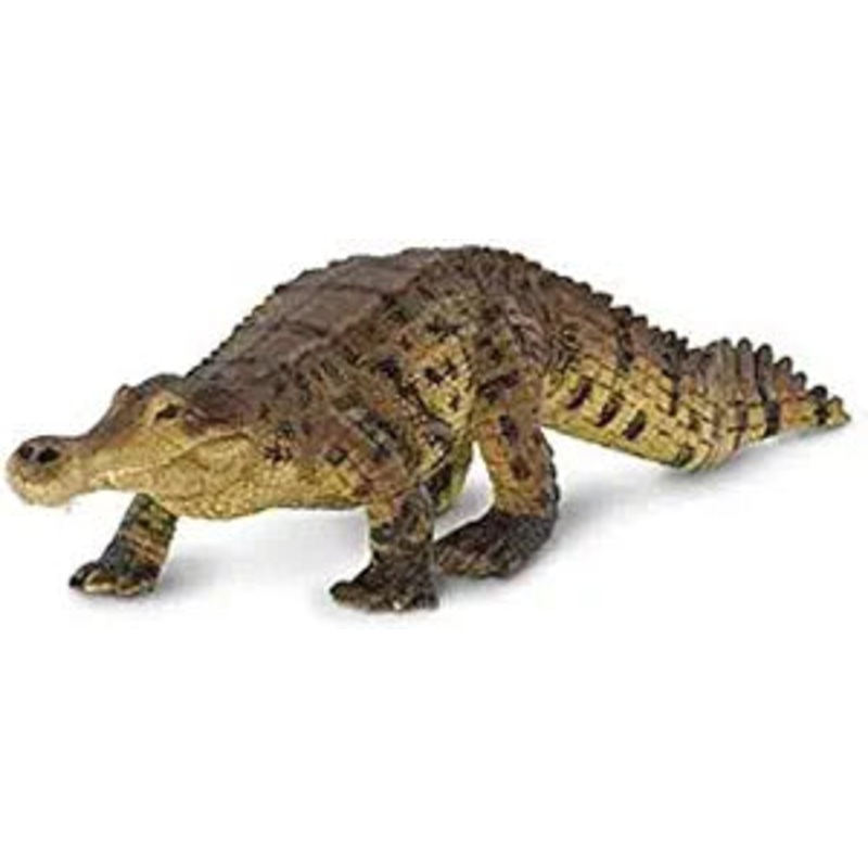 SARCOSUCHUS