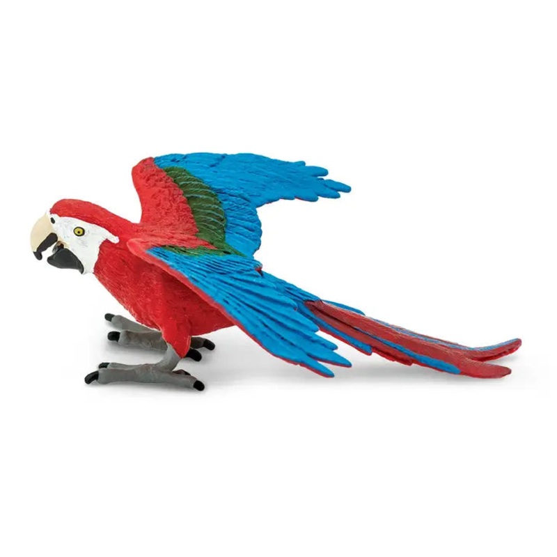 GREEN WINGED MACAW