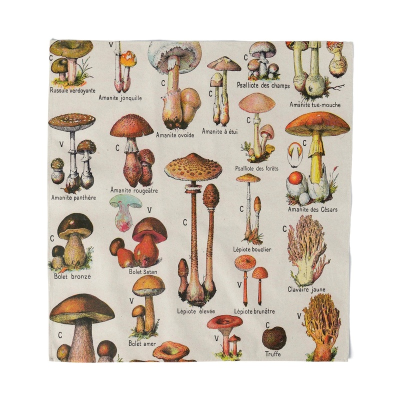 MYCOLOGY SCARF OR ALTER CLOTH