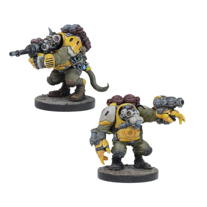VEER-MYN PROGENITORS