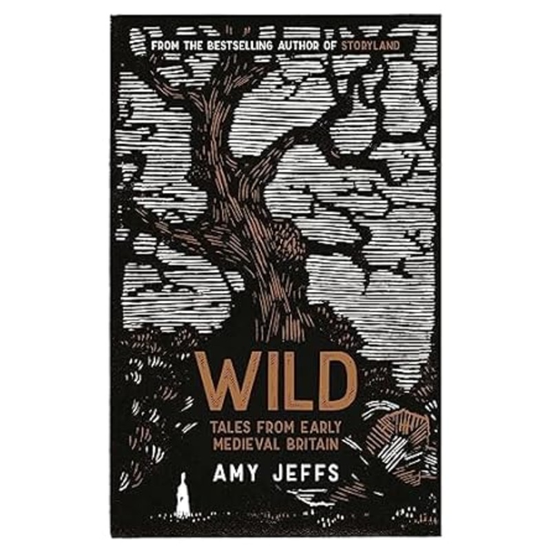 WILD: TALES FROM EARLY MEDIEVAL BRITAIN BY AMY JEFFS