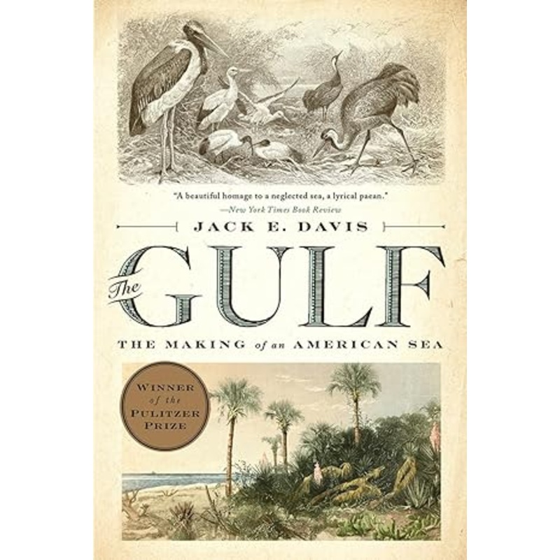 THE GULF: THE MAKING OF AN AMERICAN SEA BY JACK E. DAVIS