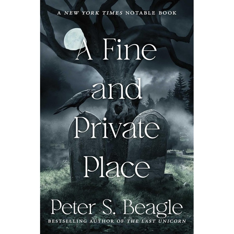 A FINE AND PRIVATE PLACE BY PETER S. BEAGLE