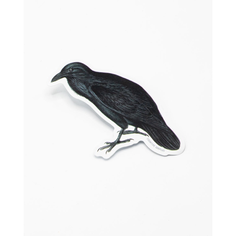 RAVEN STICKER