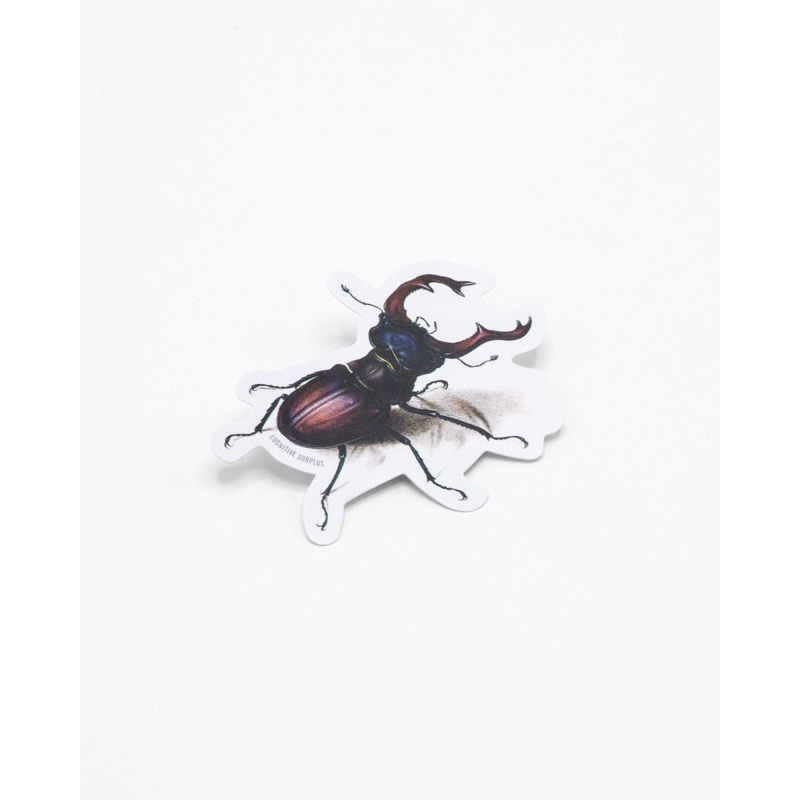 STAG BEETLE STICKER