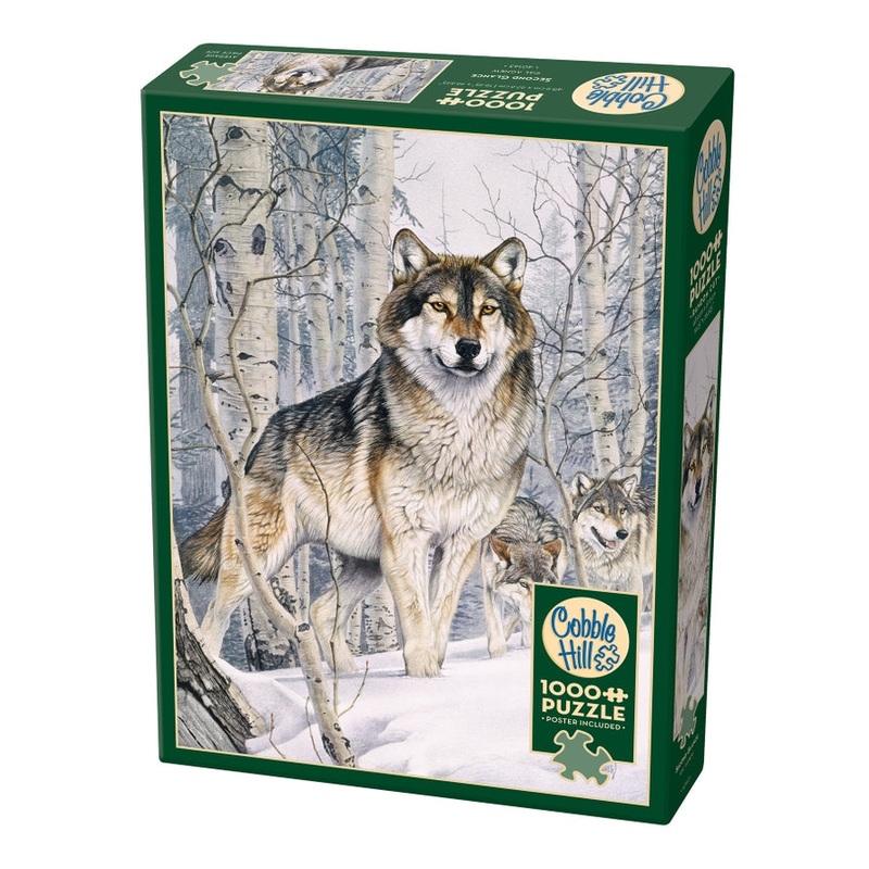 SECOND GLANCE 1000PC PUZZLE
