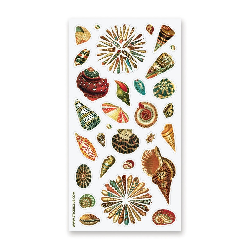 WASHI SHELLS STICKER SHEET