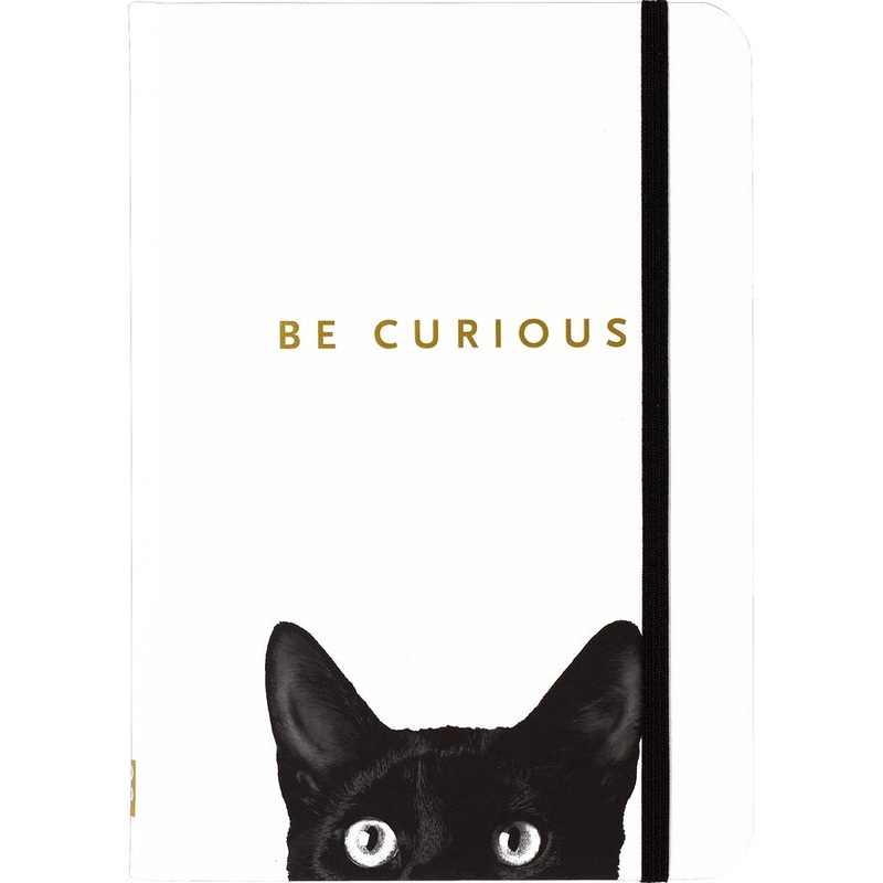 BE CURIOUS VOID CAT BLANK JOURNAL