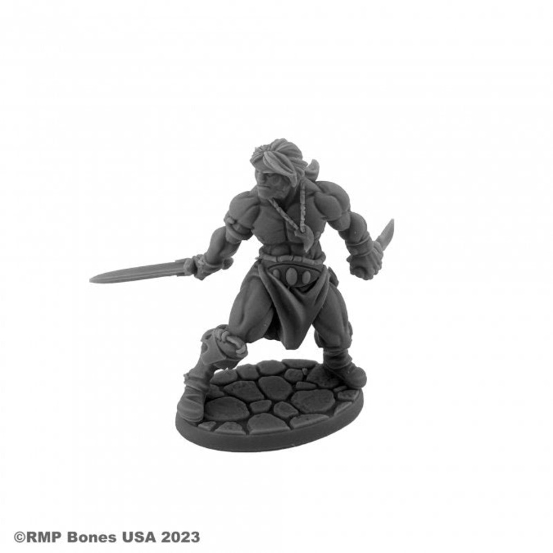 HYBORIAN HERO