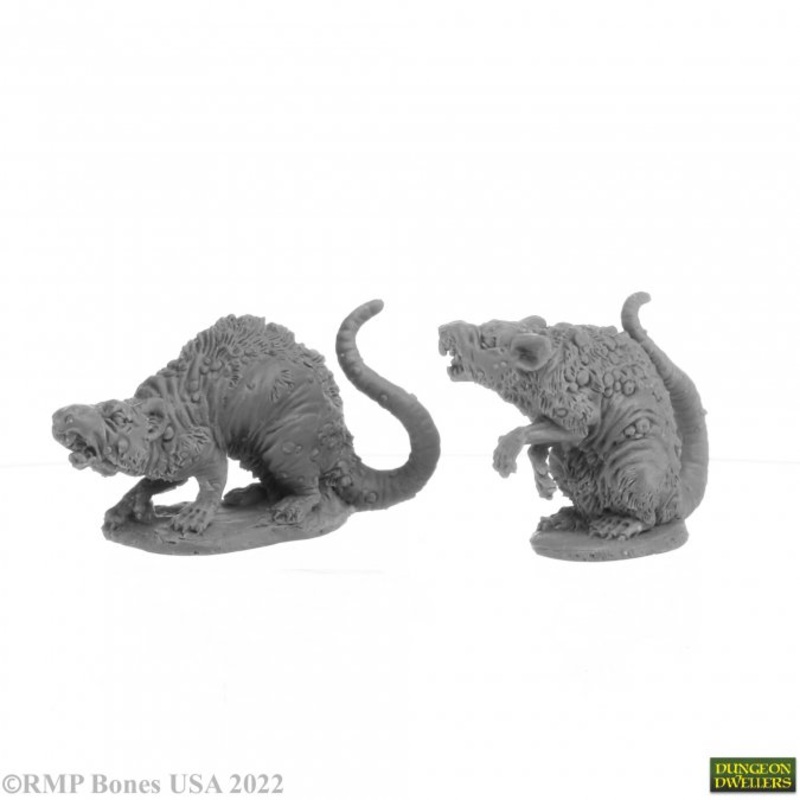 BARROW RATS