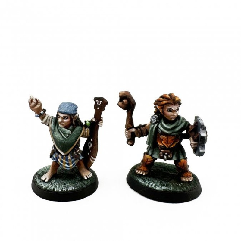 HALFLING DRUID & RIVER WITCH