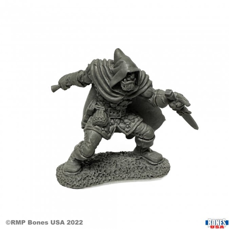 ROGAN HALF ORC THIEF
