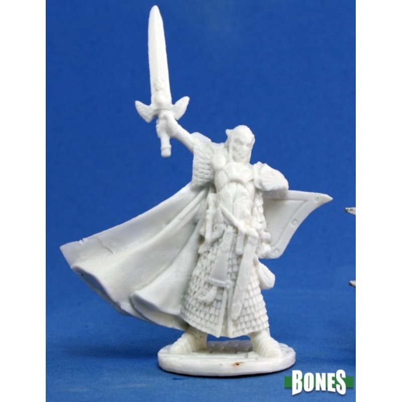 TURANIL, MALE ELF PALADIN