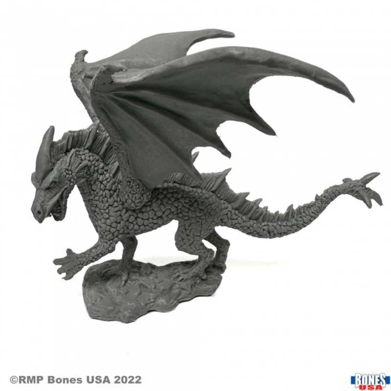 YOUNG ICE DRAGON
