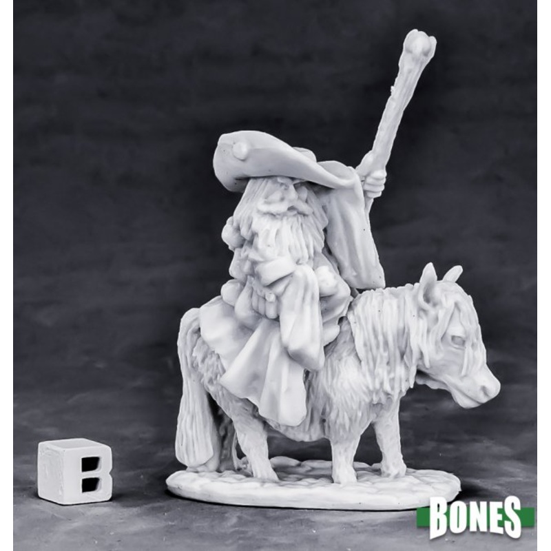 DWARF BATTLE MAGE & PONY