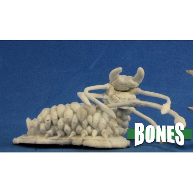 CHARNAL GRUB