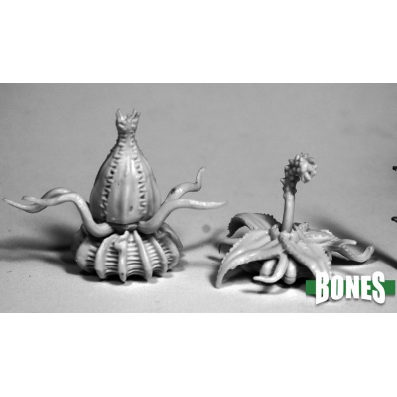 DEATH STAR LILIES (2)