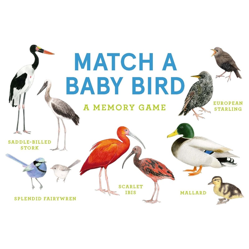 MATCH A BABY BIRD MEMORY GAME