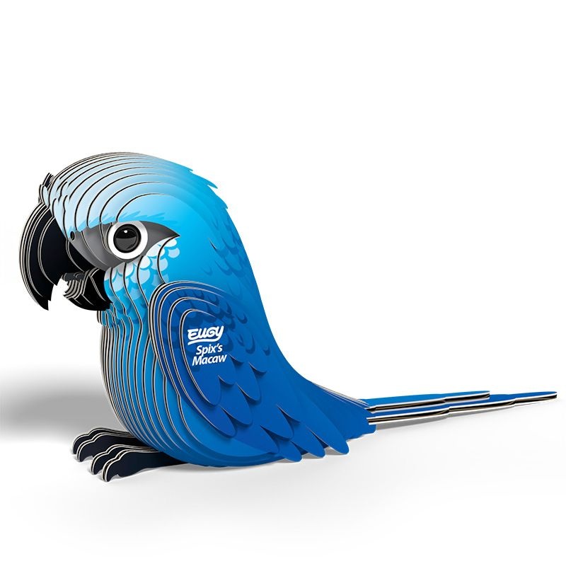 EUGY SPIX'S MACAW