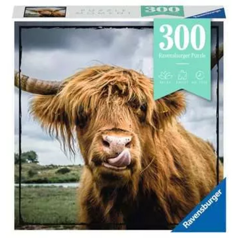 PUZZLE MOMENT: HIGHLAND CATTLE 300 PC