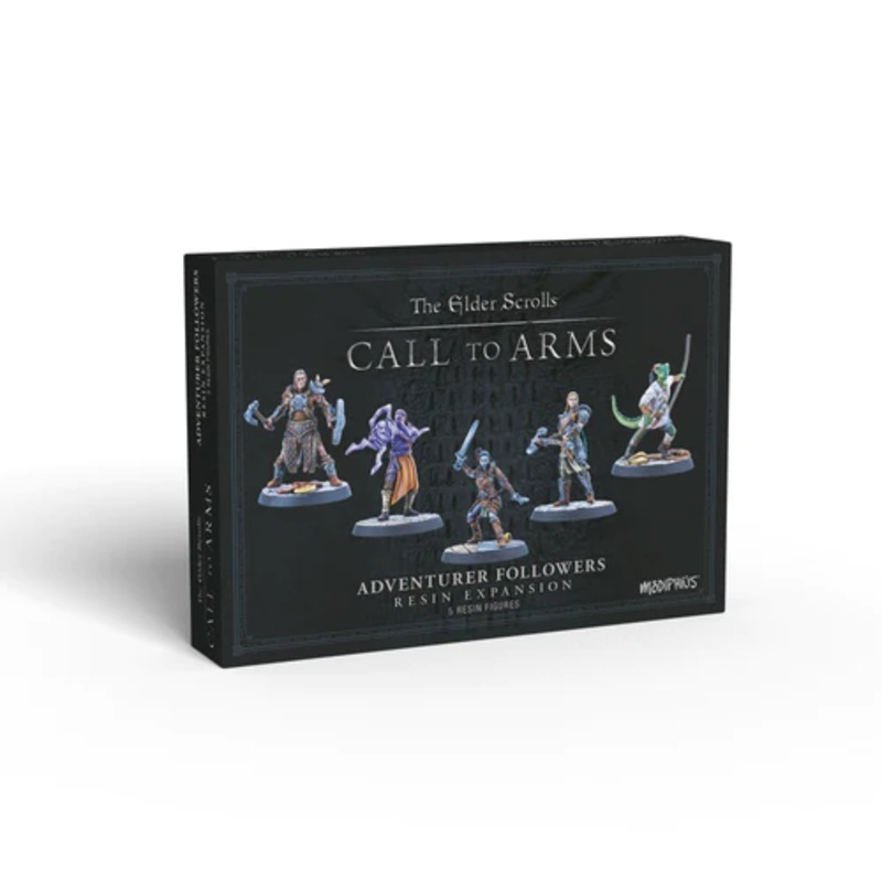 ELDER SCROLLS: ADVENTURER FOLLOWERS BOX