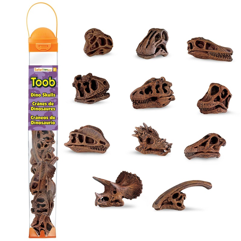 TOOB DINO SKULLS