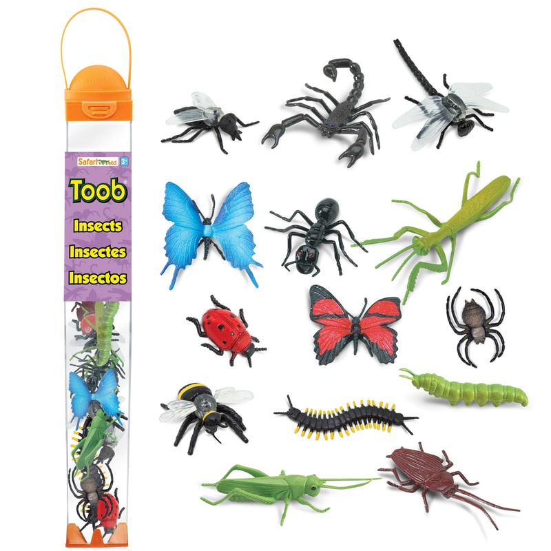 TOOB INSECTS