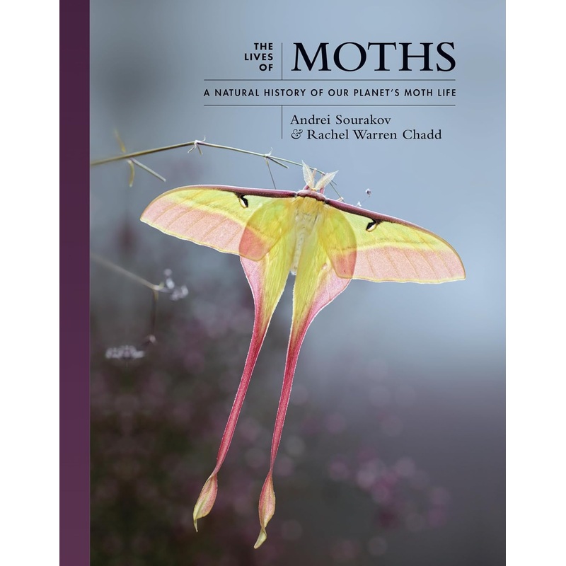 THE LIVES OF MOTHS: A NATURAL HISTORY OF OUR PLANET'S MOTH LIFE BY ANDREI SOURAKOV & RACHEL WARREN CHADD